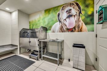 Dog wash